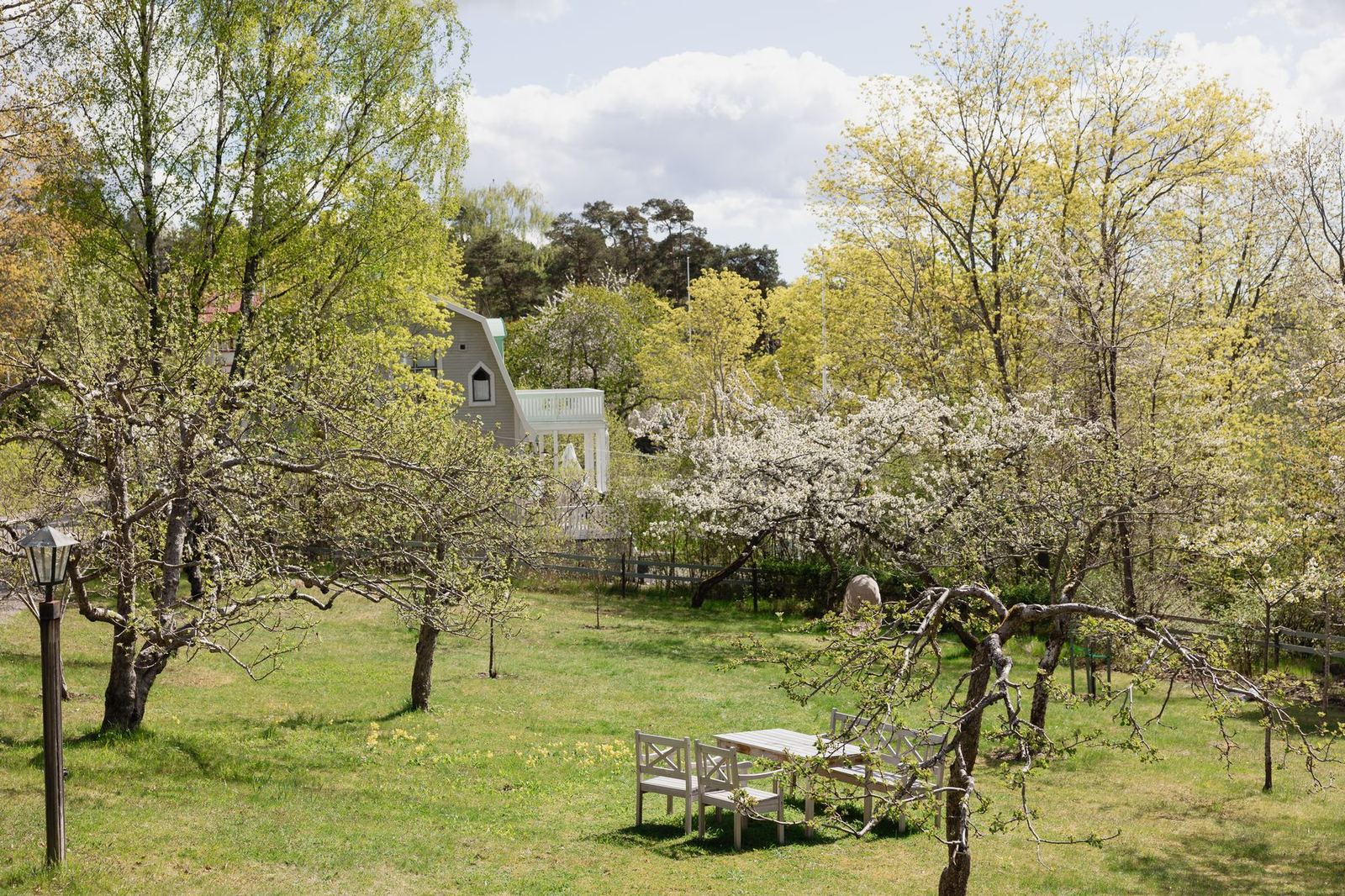 Orchard in spring blossom with the guest house beyond