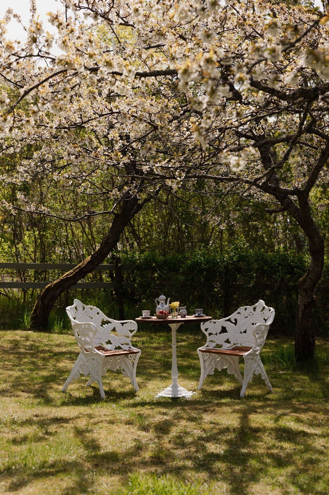 Blue-and-white china, strawberries and daffodils on the garden table